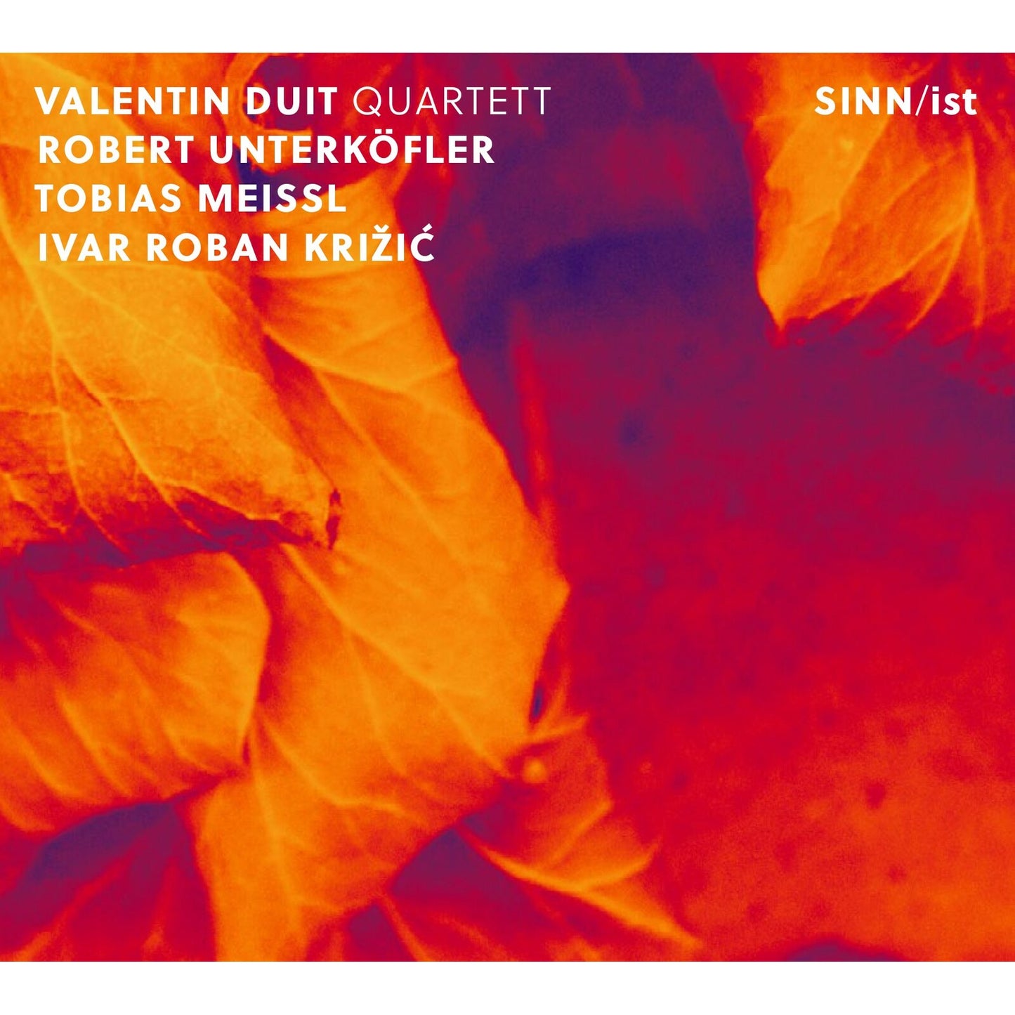 CD cover featuring orange and red abstract leaves with white artist and album text.