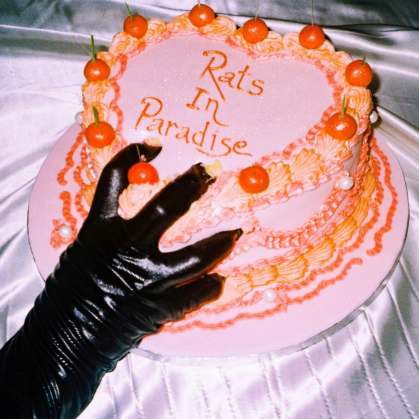 Pink frosted cake with “Rats In Paradise” written on it, gloved hand reaching.