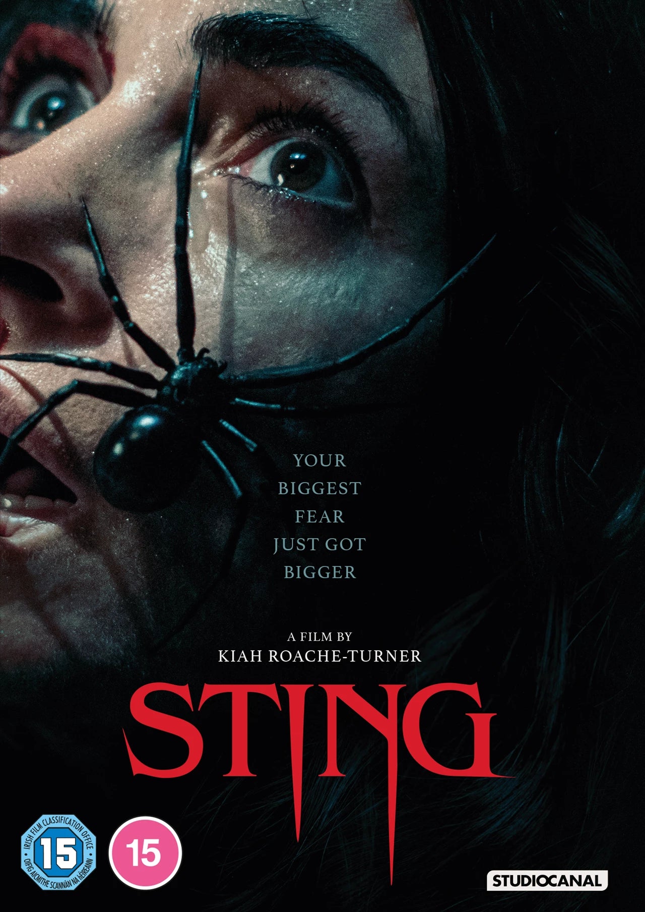 DVD cover for horror film "Sting" featuring a large spider and frightened eye.