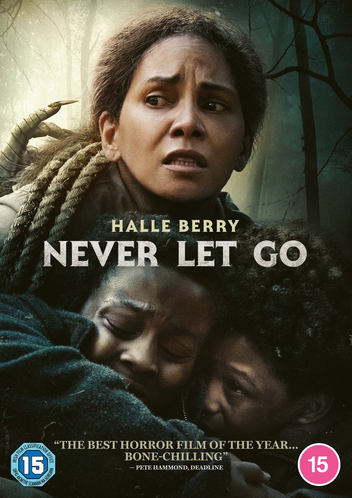 “Never Let Go” DVD cover featuring Halle Berry looking distressed in a forest.