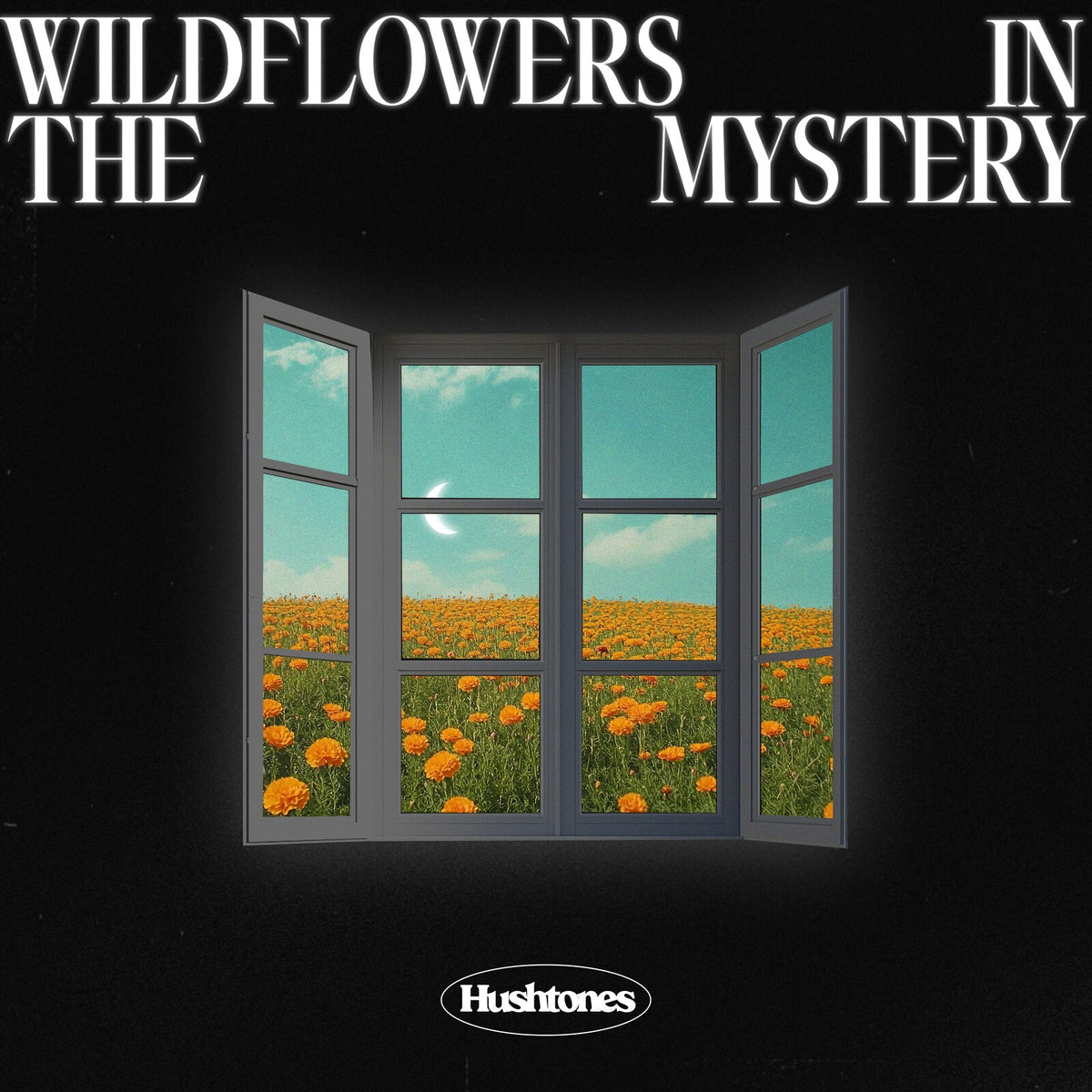 Album cover: window view of a yellow wildflower field under a moon.