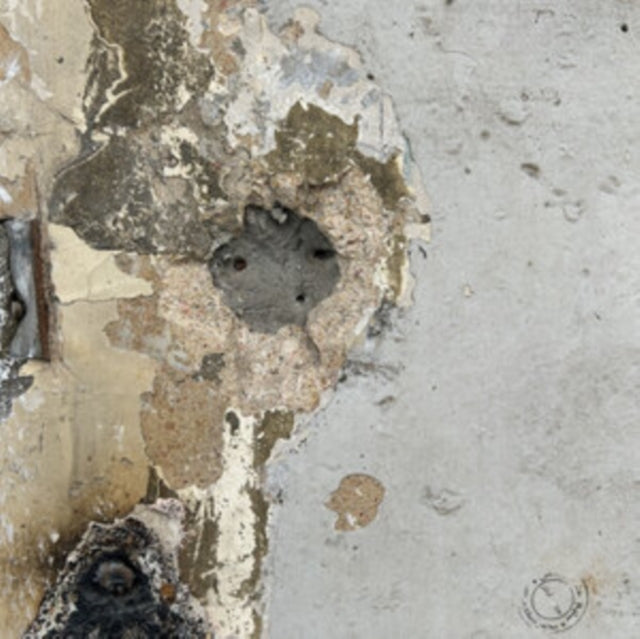 Close-up of a heavily textured, peeling wall with a dark hole.