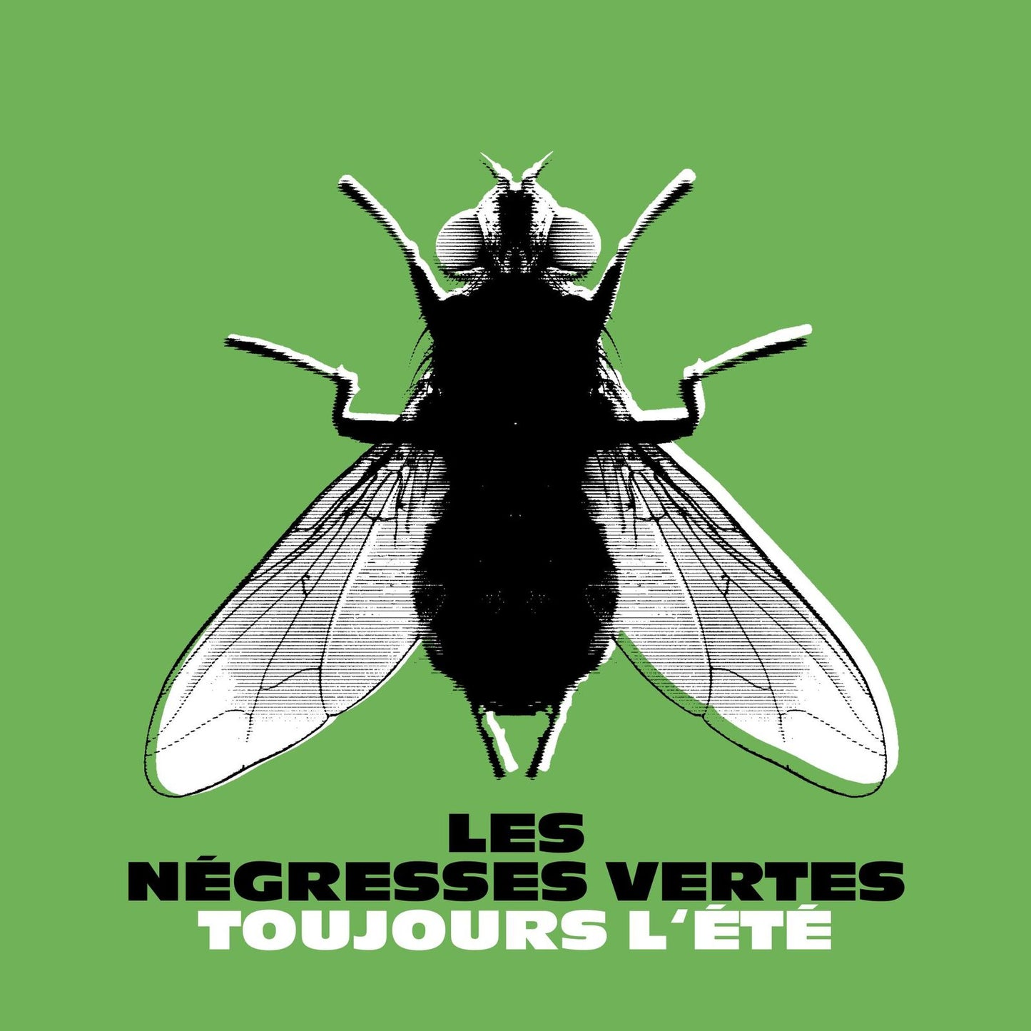Green background with large black and white image of a fly and French text.