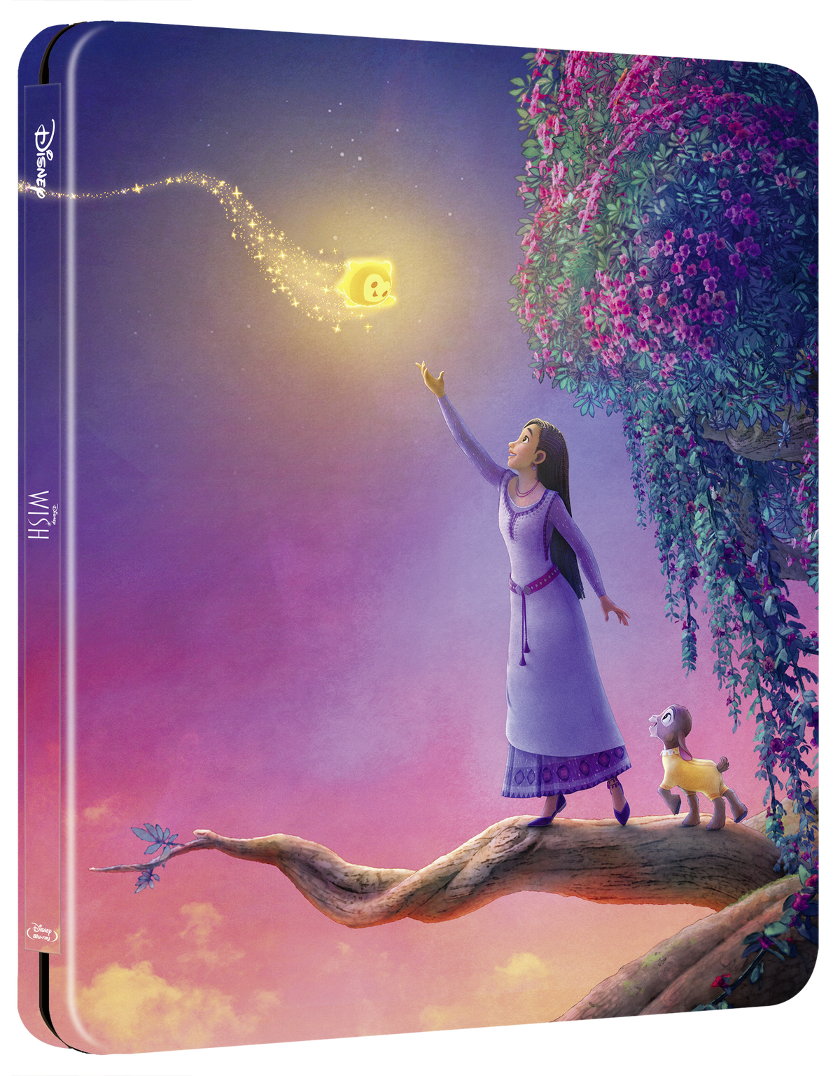Blu-ray case featuring Asha from Disney’s *Wish* reaching for a star.