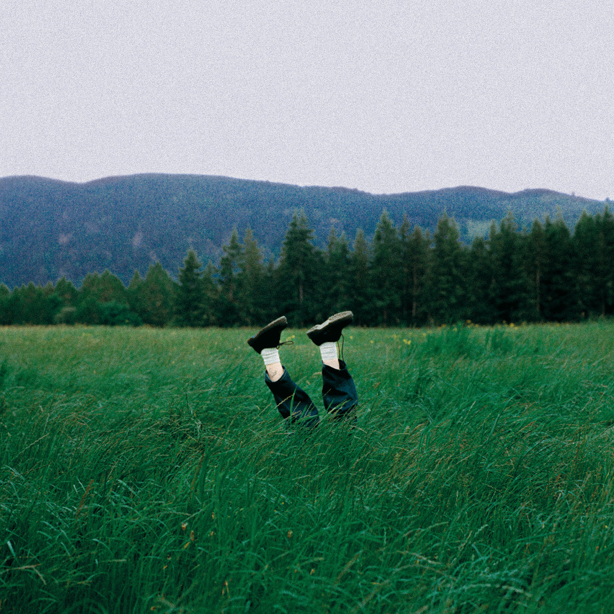 Person with legs up in a green field, mountains in background.