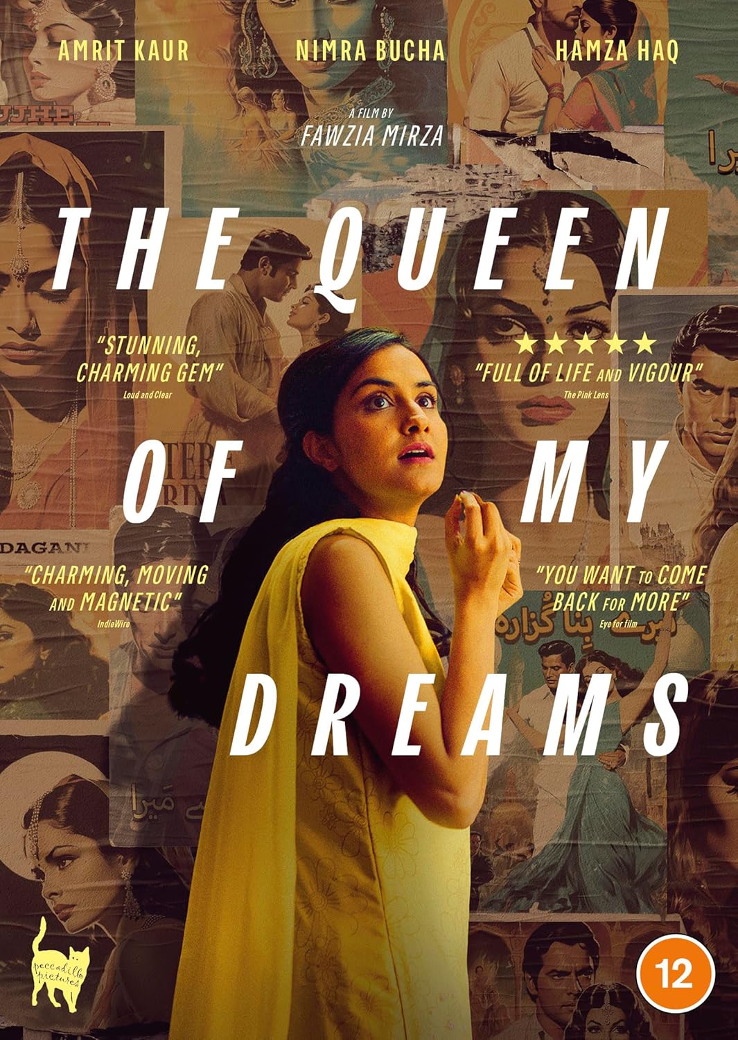 DVD cover for “The Queen Of My Dreams” featuring a woman’s portrait.