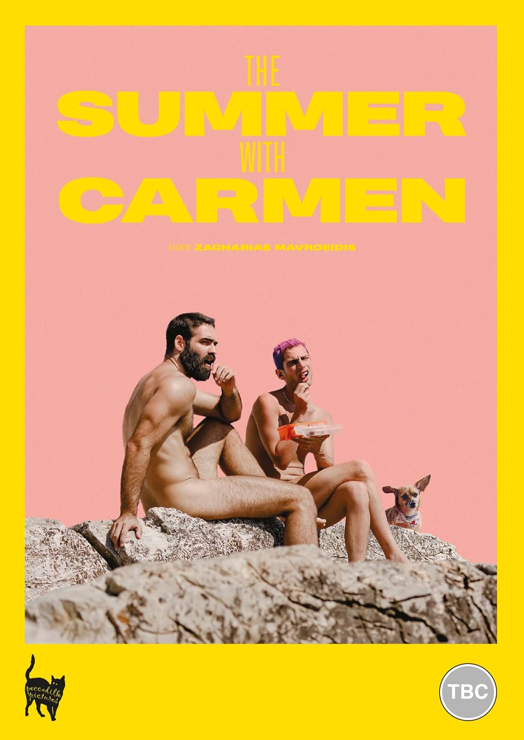 DVD cover for "The Summer With Carmen" featuring two men and a dog.