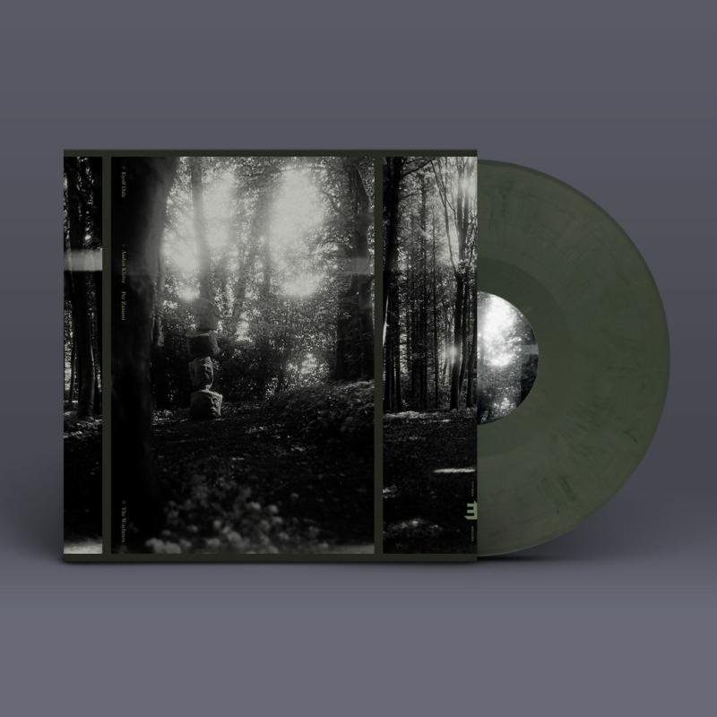 Vinyl record and cover depicting a dark, misty forest scene.