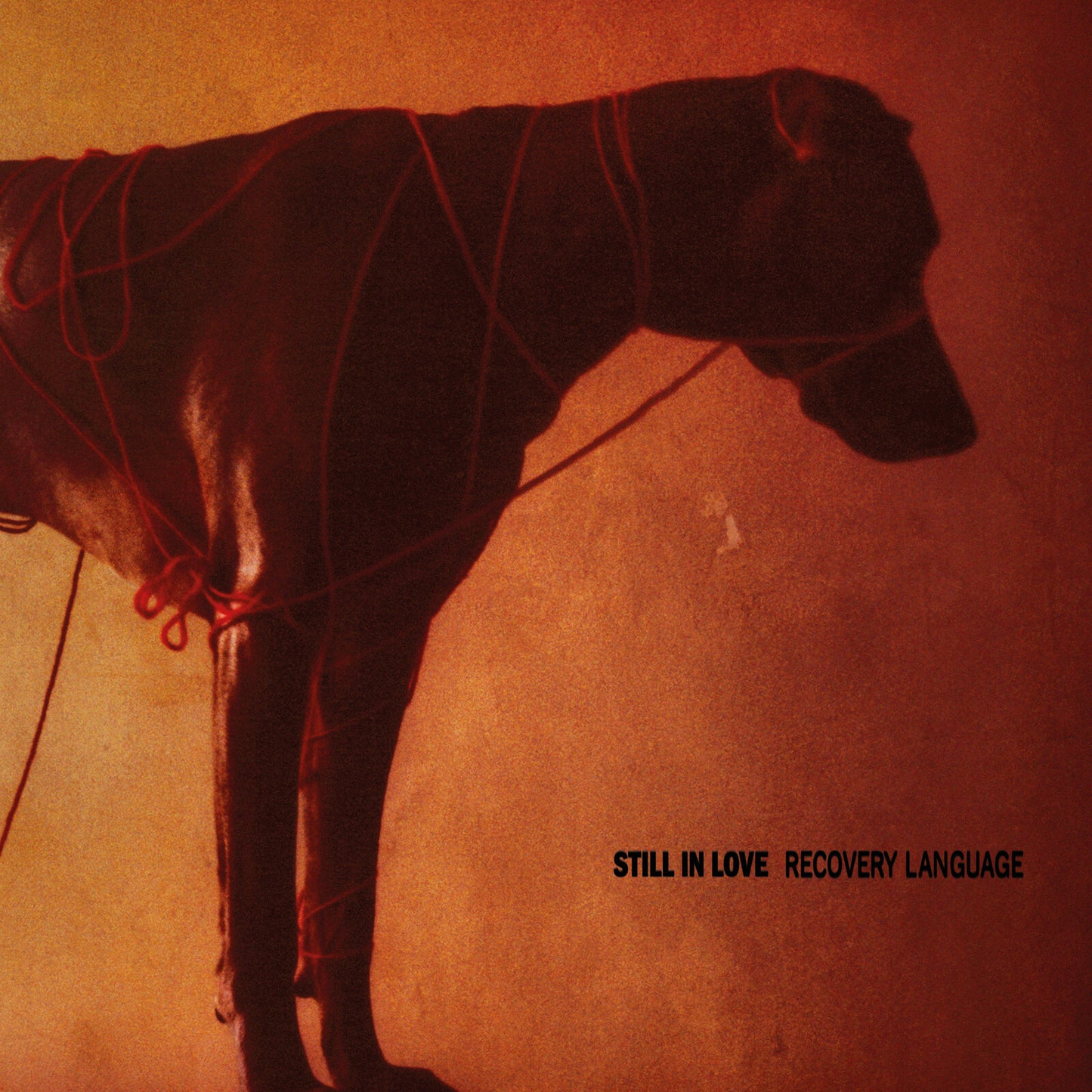 Silhouetted figure entangled in red string against a textured orange background.