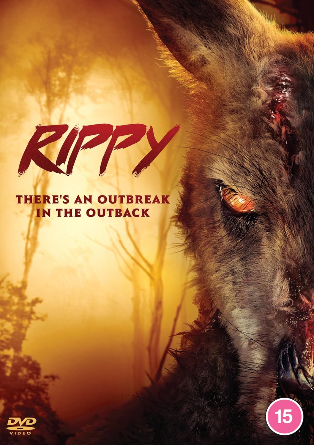 DVD cover art showing a close-up of a menacing, wounded kangaroo against a sunset.