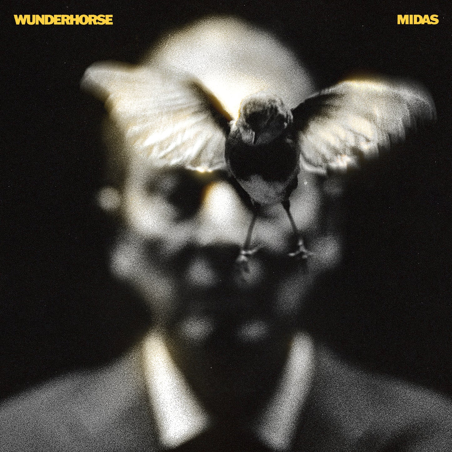 Black and white album cover with a face and a bird silhouette.