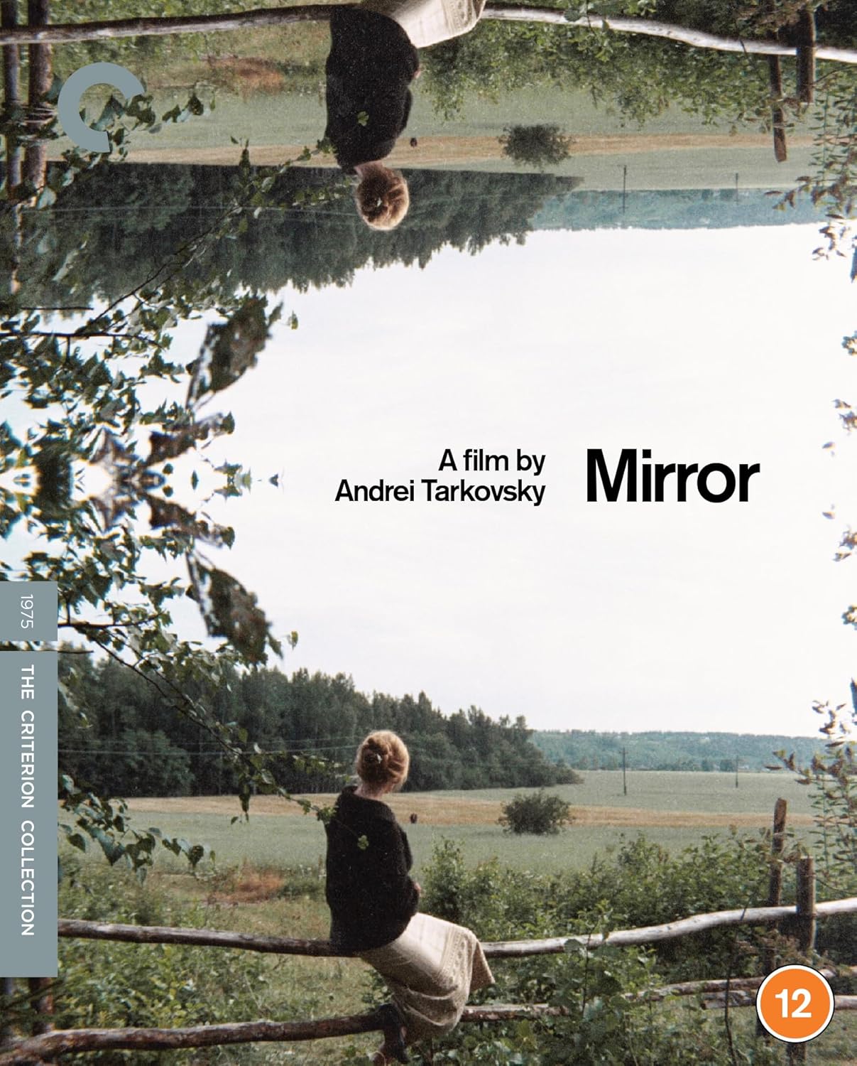 Blu-ray cover art featuring a woman sitting on a fence with a mirrored reflection.