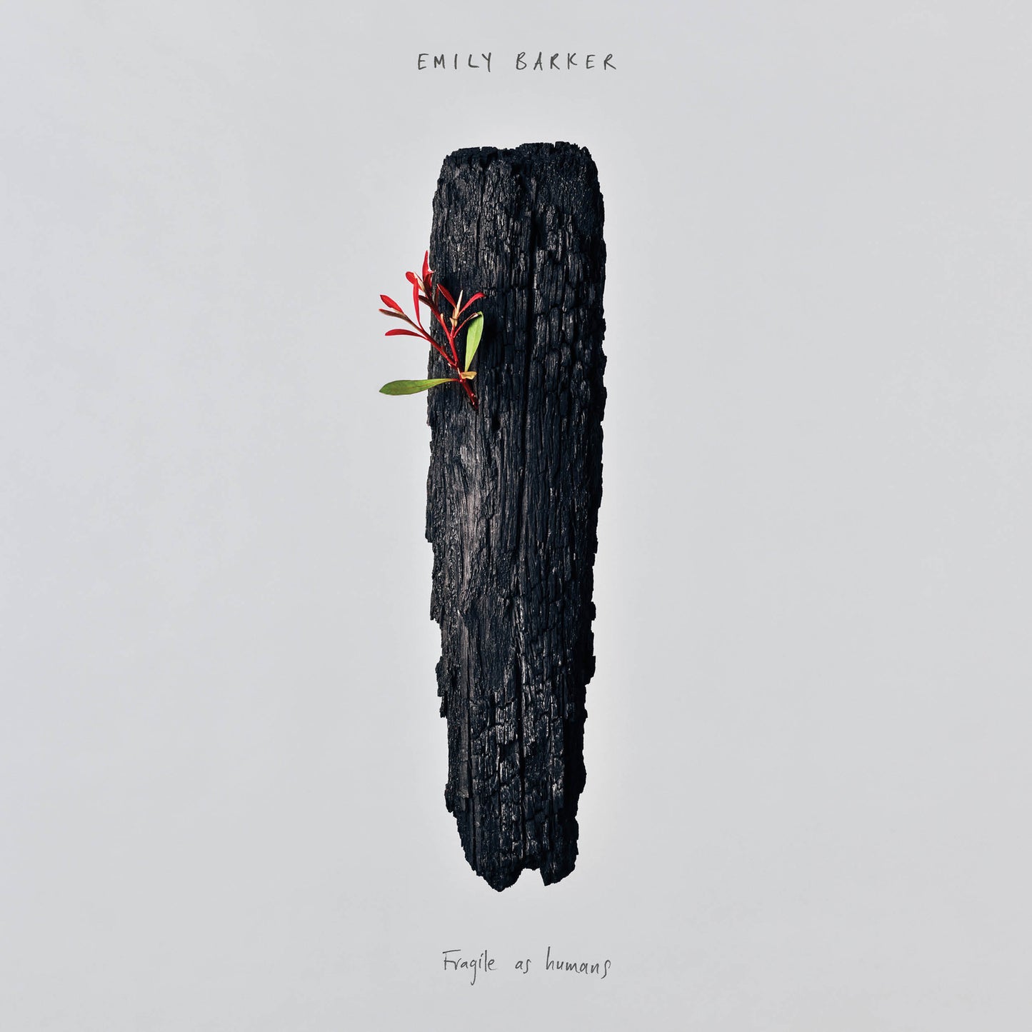 Album cover: charred wood with small red leaves, white background.