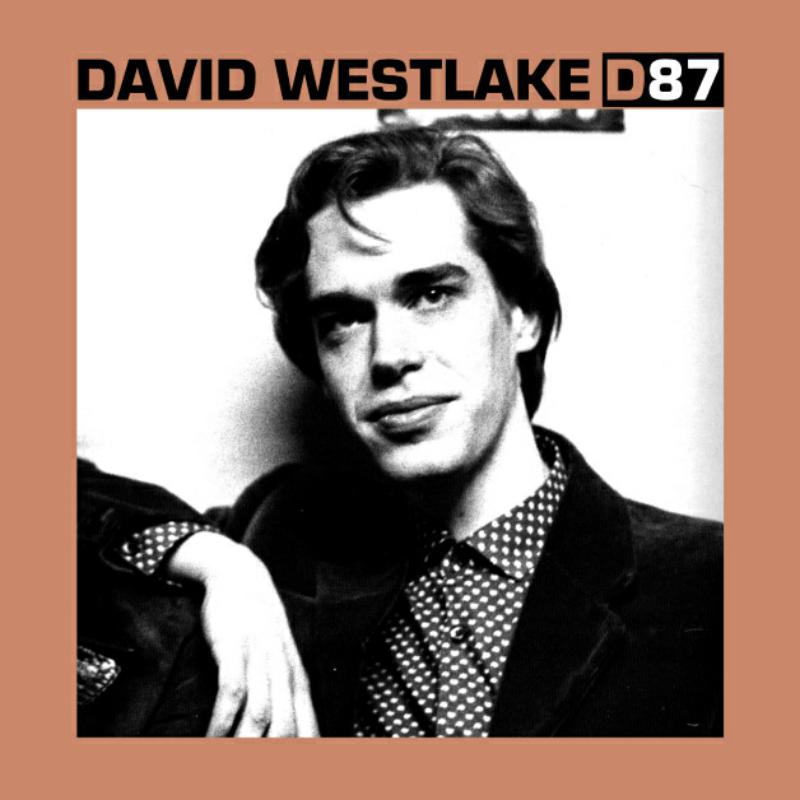 Black and white portrait of David Westlake, album cover for "D87".