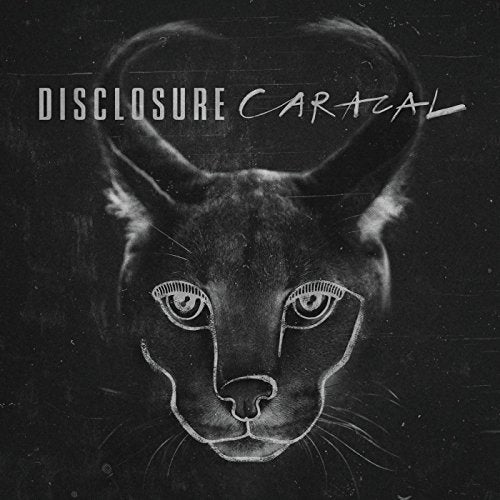 Disclosure’s “Caracal” album cover: a black and white caracal cat portrait.