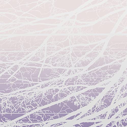 Abstract album cover with white branches against a lavender and peach gradient.