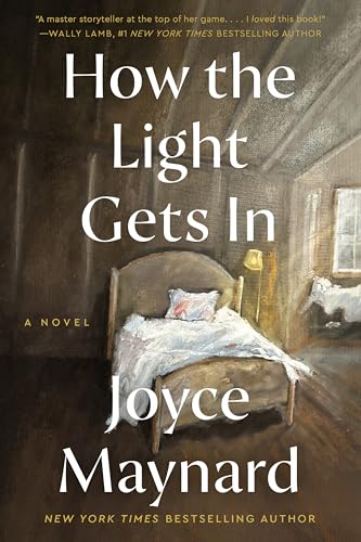 How the Light Gets In : A Novel