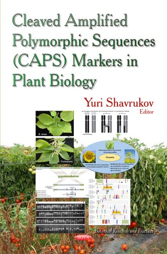Cleaved Amplified Polymorphic Sequence (CAPS) Markers in Plant Biology