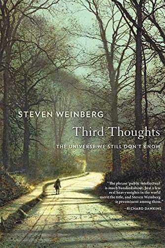 Third Thoughts: The Universe We Still Don't Know