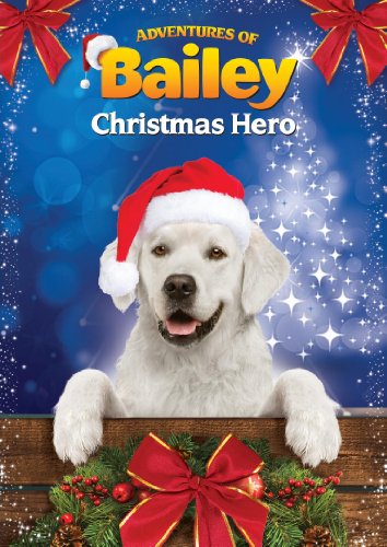 DVD cover featuring a golden retriever wearing a Santa hat.