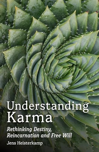 Understanding Karma : Rethinking Destiny, Reincarnation and Free Will