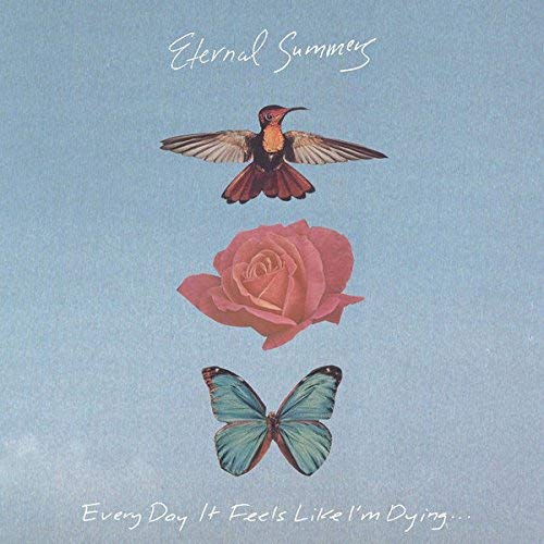 Vinyl record cover with hummingbird, rose, and butterfly on blue background.