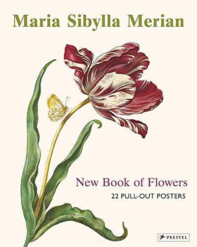 Maria Sibylla Merian: 22 Pull-Out Posters: 22 Pull-Out Posters (dt./engl.) (Poster Books)