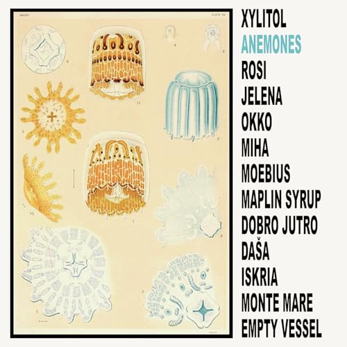 Record cover featuring illustrated sea anemones and song titles.
