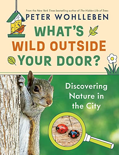 What's Wild Outside Your Door?: Discovering Nature in the City