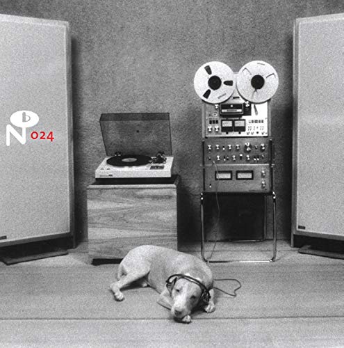 Black and white image of a dog with headphones near audio equipment.