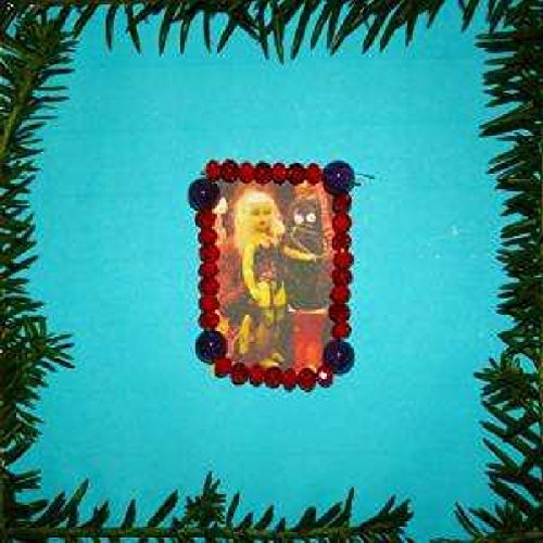 Rectangular photo with beaded border, framed by evergreen branches.