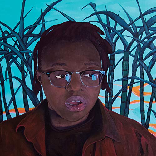 Portrait of a person with dreadlocks and glasses against a background of tall grass.