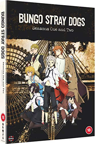 DVD cover art featuring seven anime characters standing before a large ferris wheel.