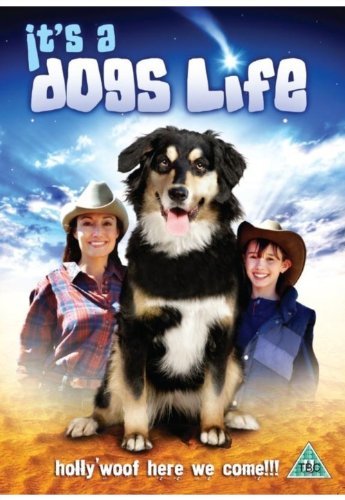 DVD cover featuring a woman, a boy, and a dog wearing cowboy hats.