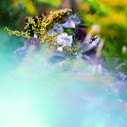 CD cover art featuring blurred, colorful wildflowers and a hazy effect.