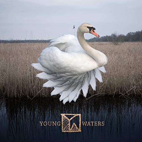 CD cover with a white swan on dark water and reeds.