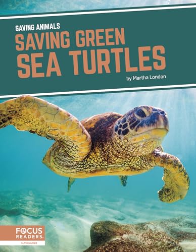 Saving Green Sea Turtles