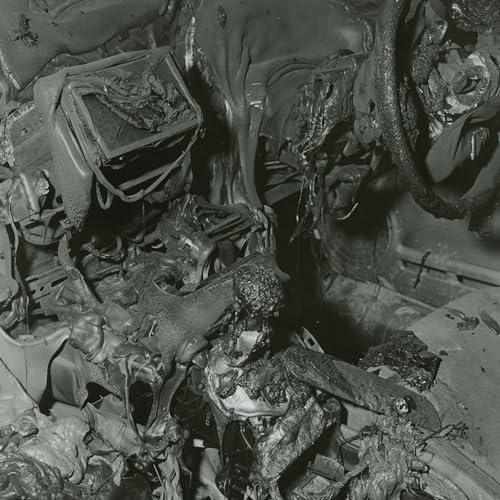 Black and white album cover with abstract, organic, and metallic forms.