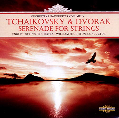 CD cover featuring a sunset landscape and a flying bird.