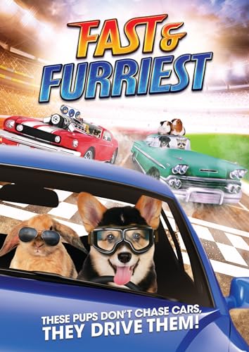 DVD cover for "Fast & Furriest" featuring dogs driving cars.