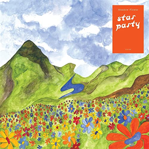 Vinyl album cover: painted mountains, blue stream, and colorful wildflowers.