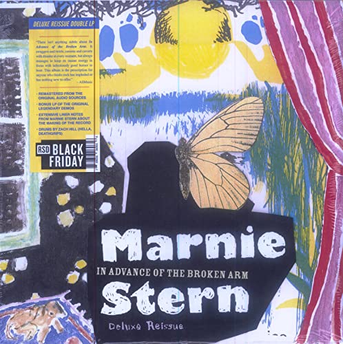 Double vinyl LP cover with butterfly illustration and bold text: “Marnie Stern”.