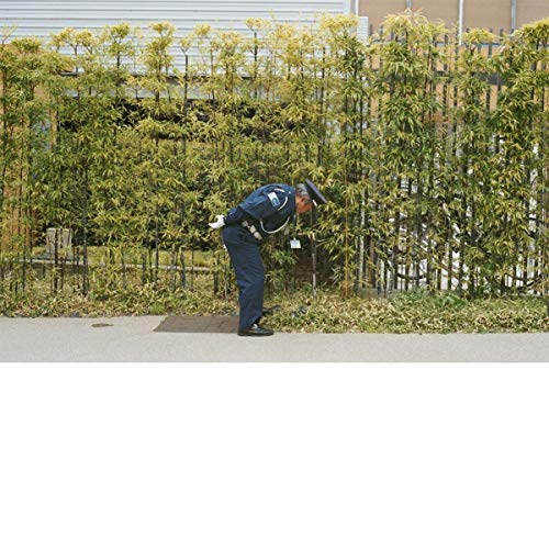 Man in uniform bends over examining something near bamboo stalks.