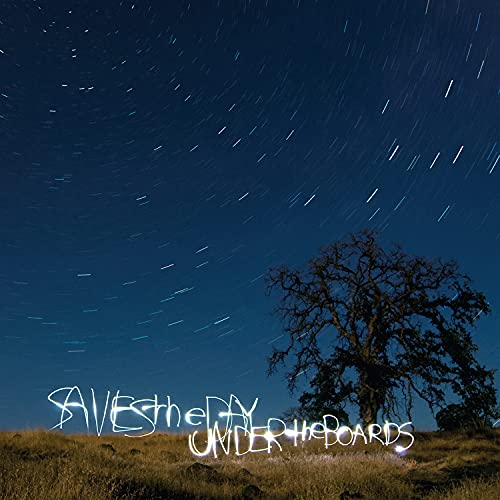 Night sky with star trails over a field and silhouetted tree.