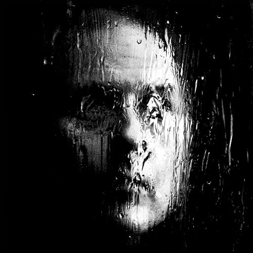Dark, distorted face with dripping texture, resembling a shadowy portrait.