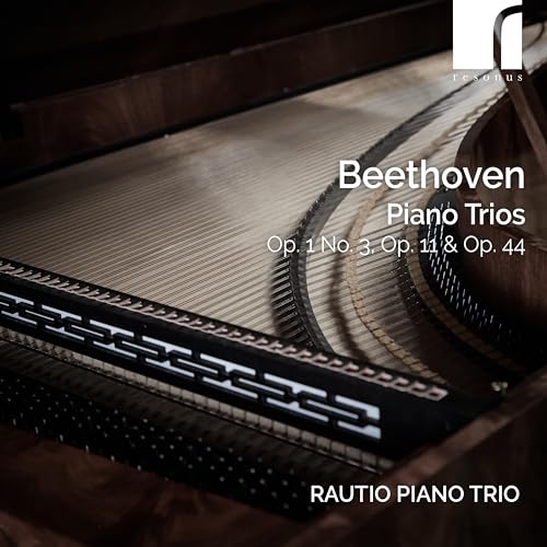 CD cover for Rautio Piano Trio performing Beethoven piano trios.