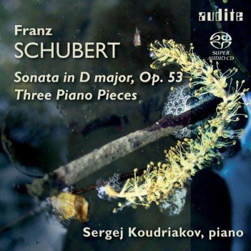 CD cover for Schubert piano sonata performed by Sergei Koudriakov, with catkins.