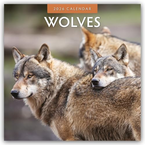 Wolves 2026 Square Wall Calendar