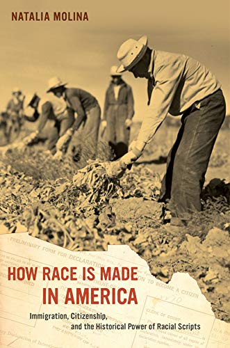 How Race Is Made in America: Immigration, Citizenship, and the Historical Power of Racial Scripts (American Crossroads): 38