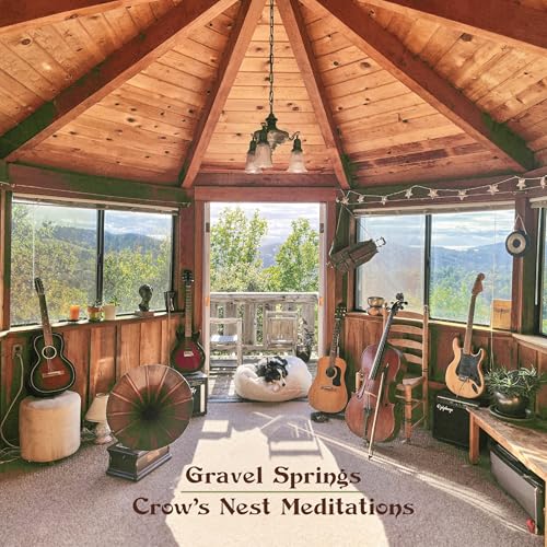 Wooden room with instruments, a cat, and a mountain view.